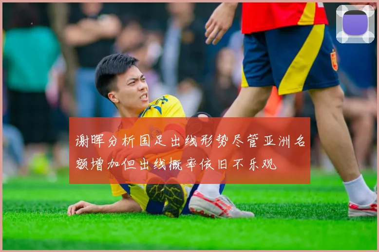 谢晖分析国足出线形势尽管亚洲名额增加但出线概率依旧不乐观