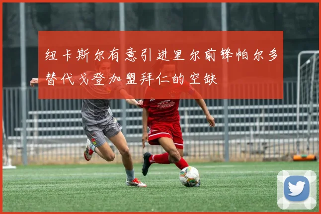纽卡斯尔有意引进里尔前锋帕尔多替代戈登加盟拜仁的空缺