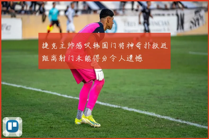 捷克主帅感叹韩国门将神奇扑救近距离射门未能得分令人遗憾